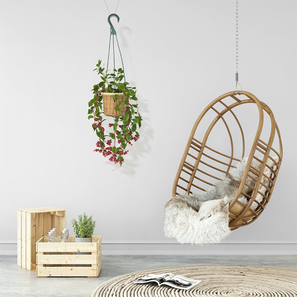 Spider Plant Hanging - 5Pcs Modern Minimalist Hanging Planter Hooks