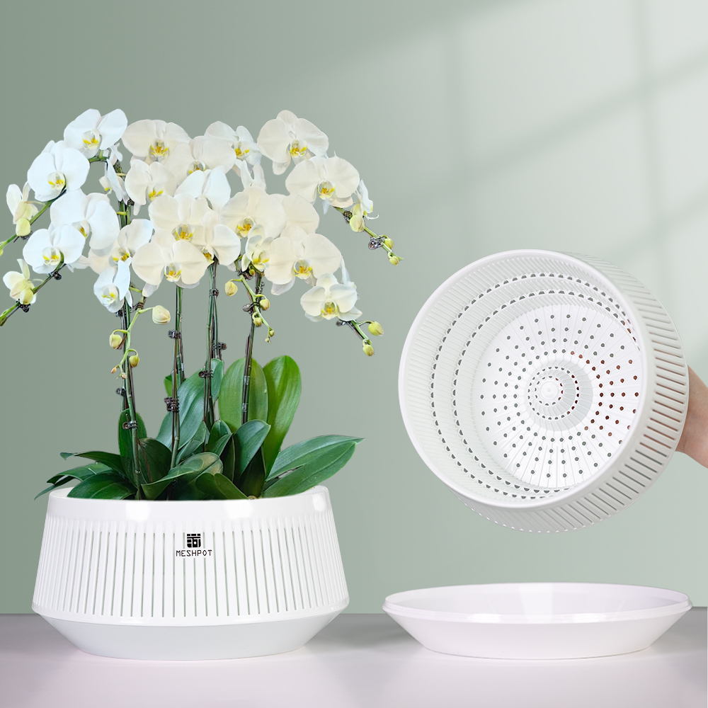 Aloe Vera Pot - Meshpot Orchid Pot with Holes Plastic