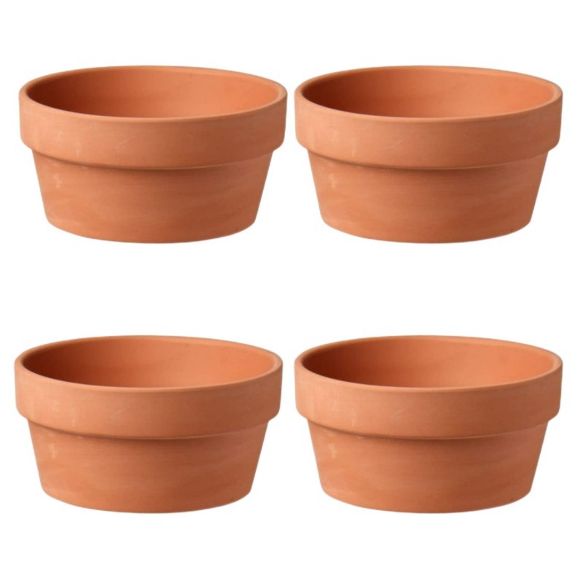 6 PCS Terracotta Buld Pots 3.5 - Echeveria Succulent ulasan dan harga