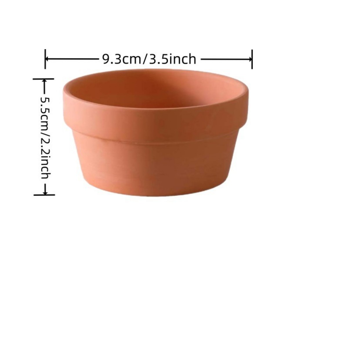 6 PCS Terracotta Buld Pots 3.5 - Echeveria Succulent ulasan dan harga