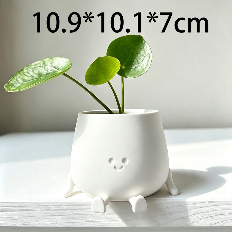 3D Printed Cute Smiley Face Pl - Echeveria Succulent ulasan dan harga