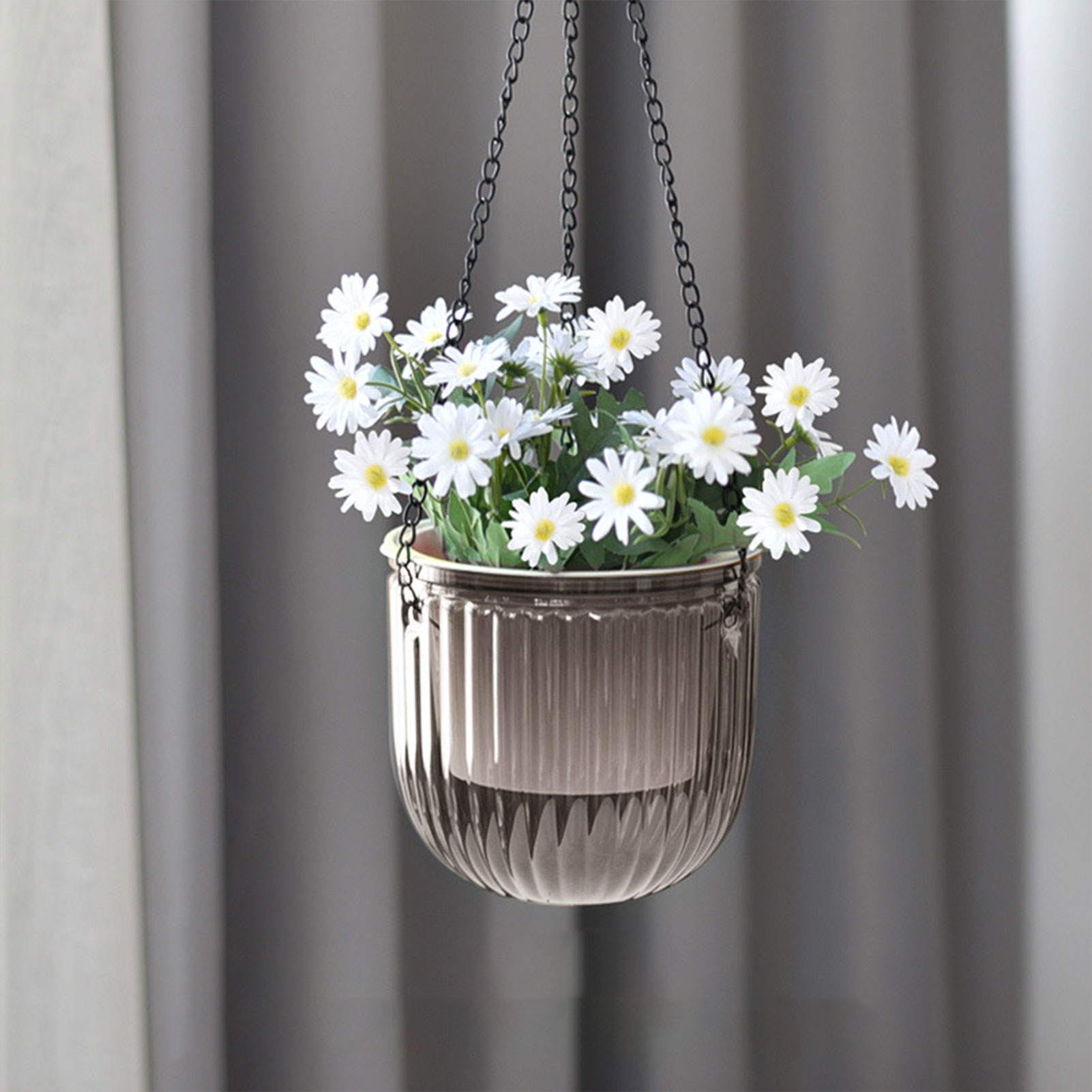 Automatic Self Watering Plant  - Spider Plant Hanging ulasan dan harga