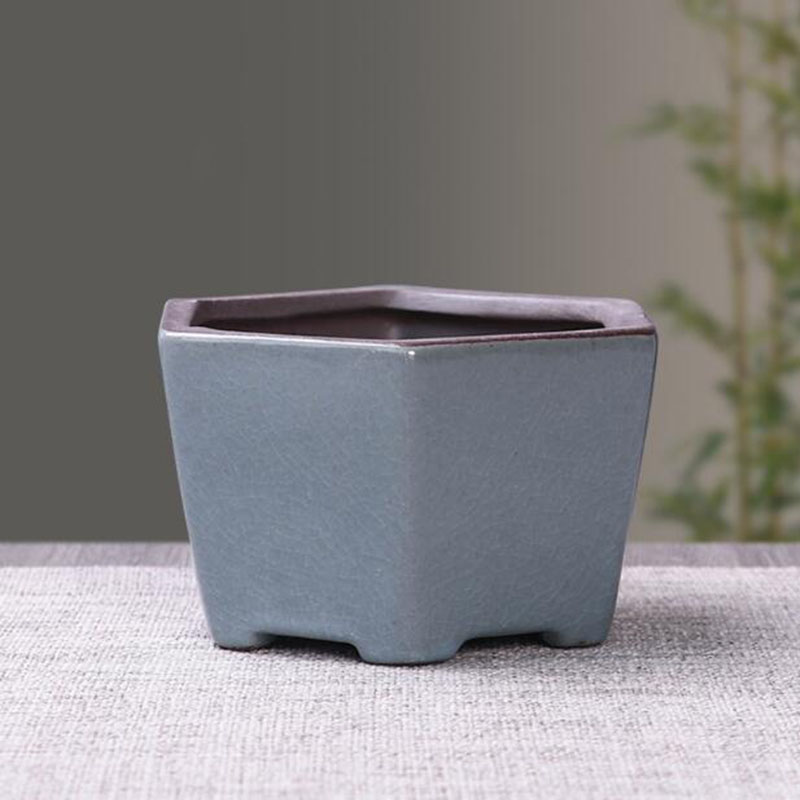 Retro Ceramic Flower Pot Aspar - Echeveria Succulent ulasan dan harga