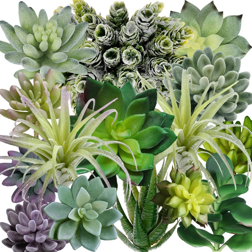 15 Pack Assorted Artificial Su - Echeveria Succulent ulasan dan harga