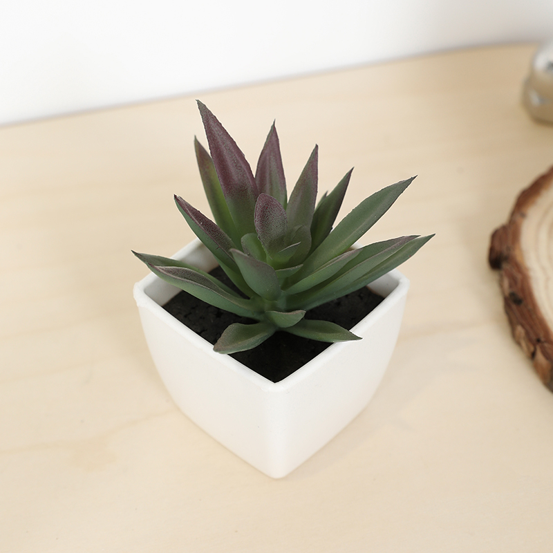 Mini Artificial Succulent Fair - Echeveria Succulent ulasan dan harga